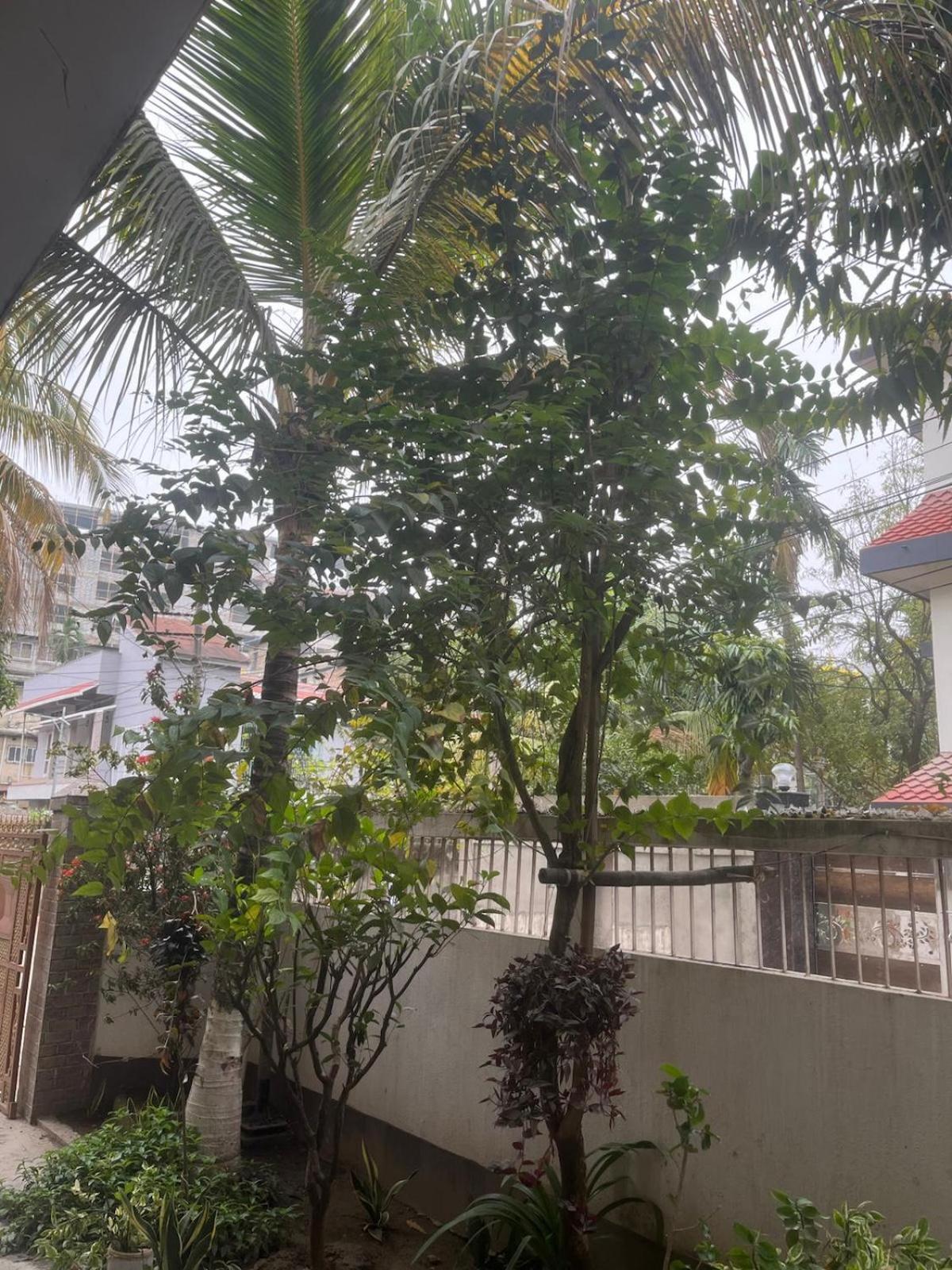 Amazing Homestay Guwahati Luaran gambar