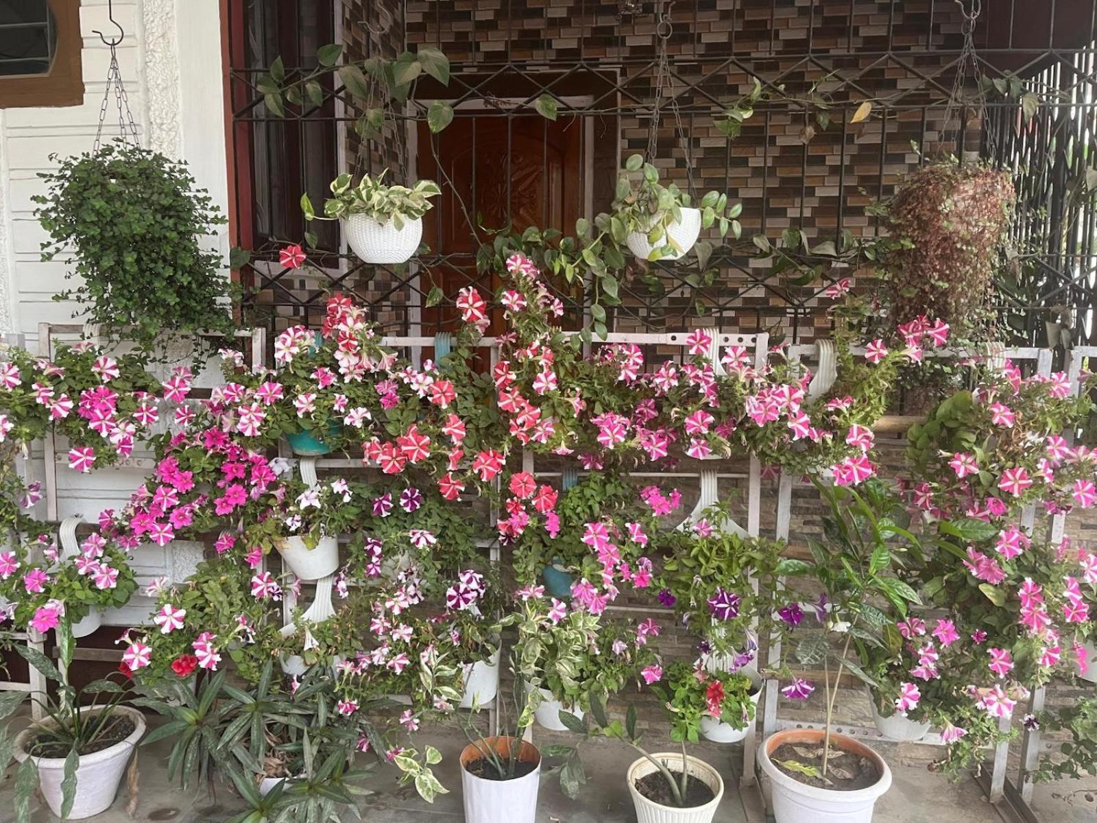 Amazing Homestay Guwahati Luaran gambar
