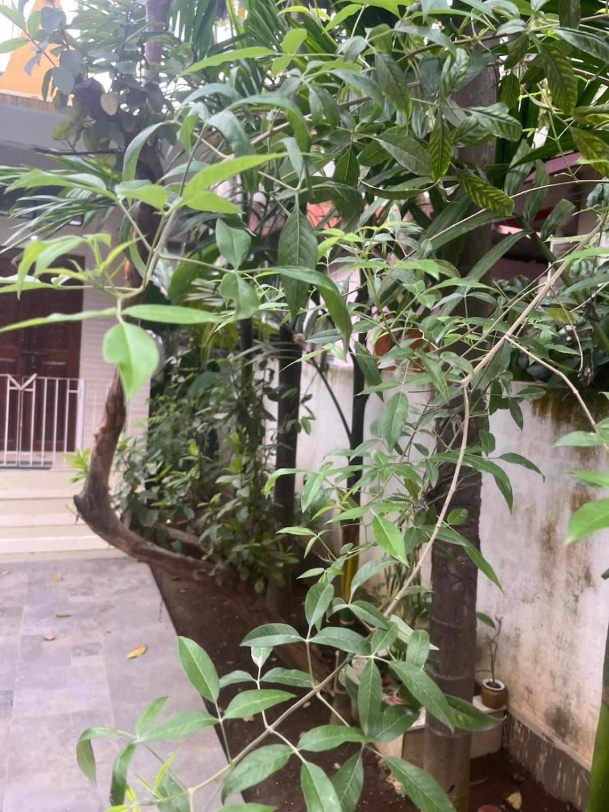 Amazing Homestay Guwahati Luaran gambar